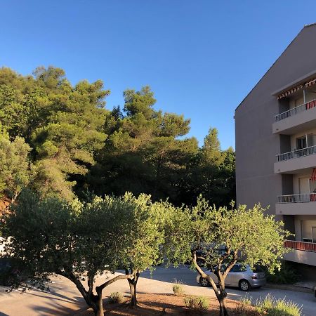 Grand Studio A Hyeres Entre Mer Et Ville מראה חיצוני תמונה