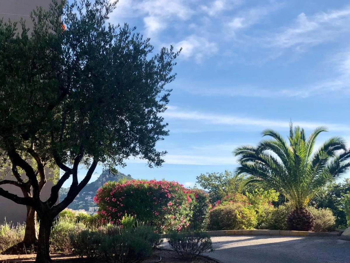 Grand Studio A Hyeres Entre Mer Et Ville מראה חיצוני תמונה